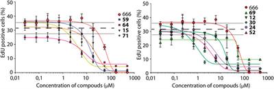 Synthesis, Screening and Characterization of Novel Potent Arp2/3 Inhibitory Compounds Analogous to CK-666